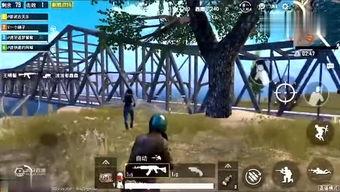 国产盗版老牌天鹰战士视频,国产盗版经典，重温老牌科幻传奇