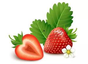 国产草莓97视频在线,探寻草莓种植的甜蜜奥秘