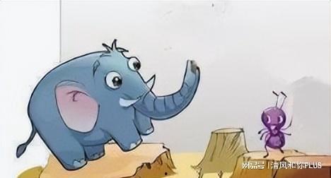 国产蚂蚁和大象的故事视频,国产动画故事启示录