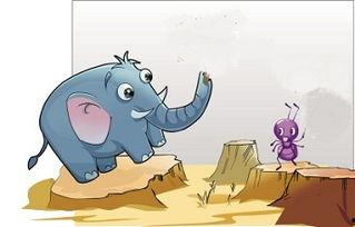 国产蚂蚁和大象的故事视频,国产动画故事启示录