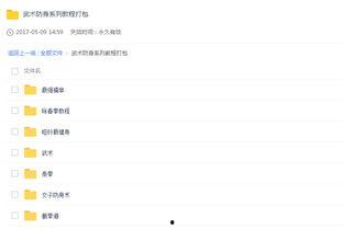 国产防身教学视频,实用技巧解析与实战演练