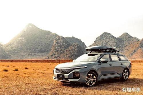 国产小众汽车视频