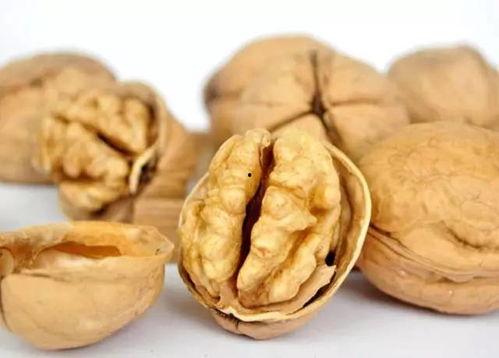 泰国产不产核桃呢视频,热带风情下的核桃之谜