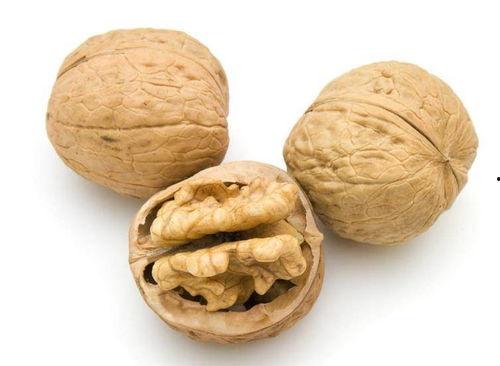 泰国产不产核桃呢视频,热带风情下的核桃之谜