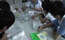 国产浮力视频在线,探索水下世界的奇幻之旅