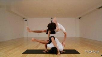 国产瑜伽视频迅雷,轻松入门，健康生活新选择
