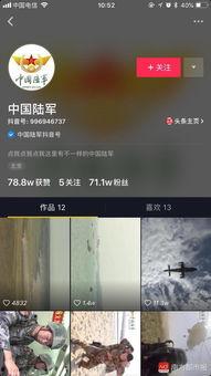 国产网红视频种子链接,从种子链接到热门话题