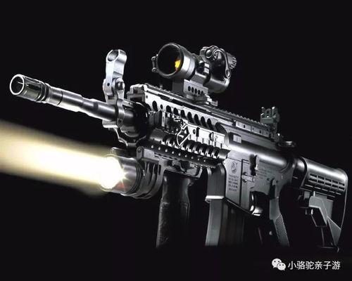 国产现役配枪视频,揭秘我国军警装备的尖端利器