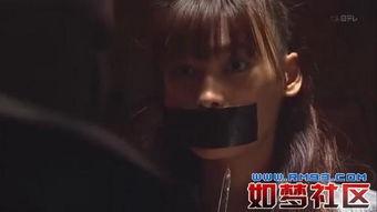 国产母乱视频磁力,磁力链接背后的秘密与警示