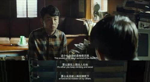 国产好深好硬免费视频,深度探索，硬核呈现