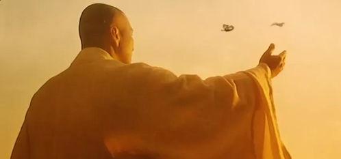 免费拍拍叫国产痛的视频,免费拍拍背后的故事与启示