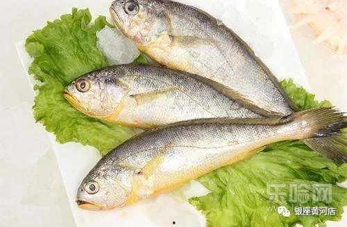 国产花鱼怎么过冬的视频,揭秘过冬秘诀