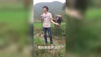 国产福利视频在线观看啊,在线观看新体验