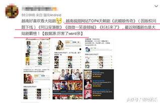 网站里的国产视频,精彩纷呈的本土影视佳作盘点  第3张