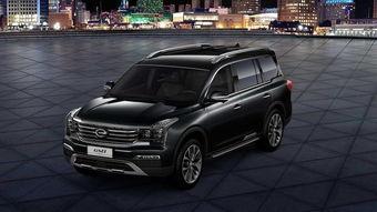 国产suv挑战视频播放,视频播放见证实力与激情  第3张