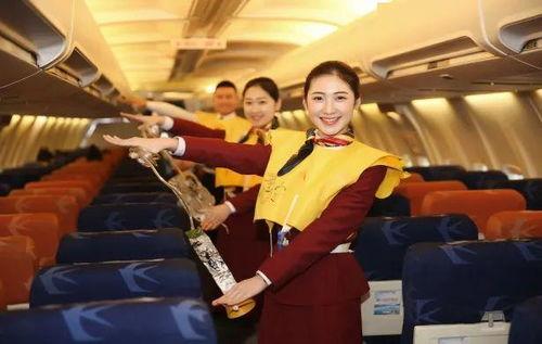 国产空乘免费视频,免费视频带你走进空中服务世界  第1张