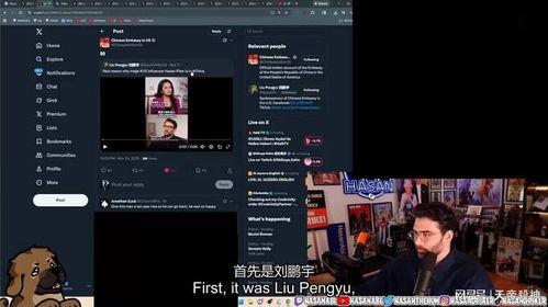 人国产人人在线视频  第3张