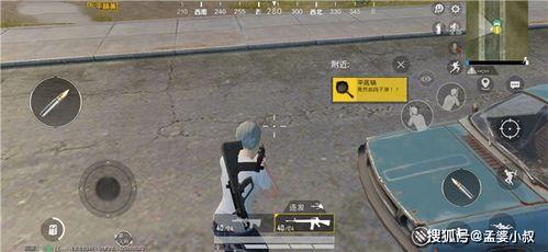 锅铲国产退游的原视频  第2张