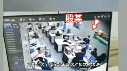 国产 东莞内部视频,内部视频带你领略这座城市的独特魅力  第2张