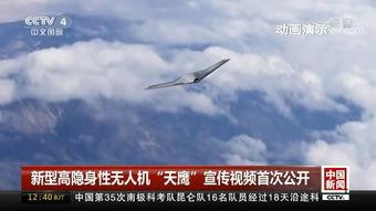 完全国产在线公开视频  第3张