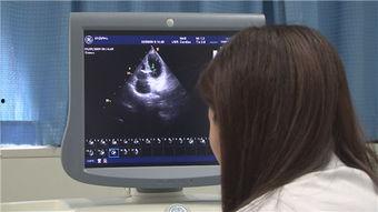 国产肛门网站视频直播,视频直播背后的真实世界
