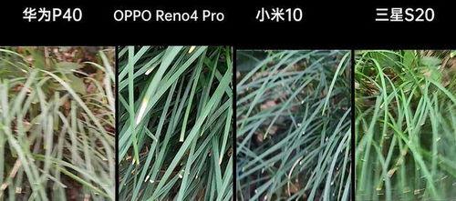 散装国产斗草推荐视频下载  第2张