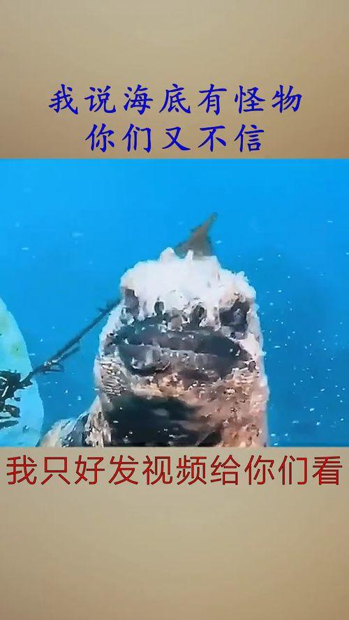 国产海底怪兽视频 第3张 国产海底怪兽视频 第3张
