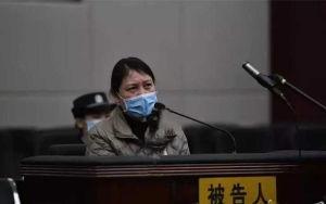 国产写真视频0,展现东方美学魅力